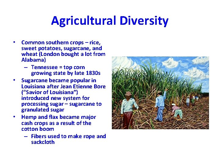 Agricultural Diversity • Common southern crops – rice, sweet potatoes, sugarcane, and wheat (London Agricultural Diversity • Common southern crops – rice, sweet potatoes, sugarcane, and wheat (London