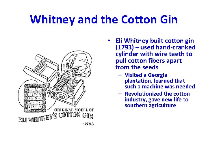 Whitney and the Cotton Gin • Eli Whitney built cotton gin (1793) – used Whitney and the Cotton Gin • Eli Whitney built cotton gin (1793) – used