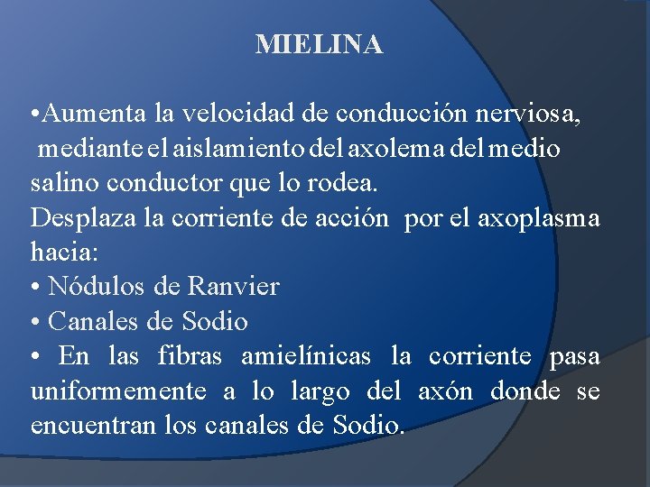 MIELINA • Aumenta la velocidad de conducción nerviosa, mediante el aislamiento del axolema del