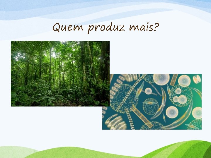 Quem produz mais? 