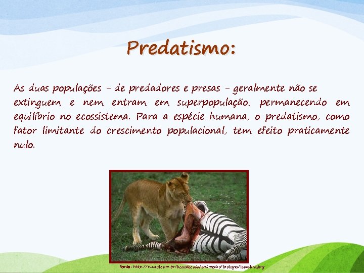 Predatismo: As duas populações - de predadores e presas - geralmente não se extinguem