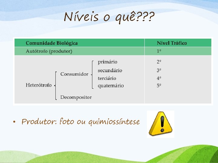 Níveis o quê? ? ? • Produtor: foto ou quimiossíntese 