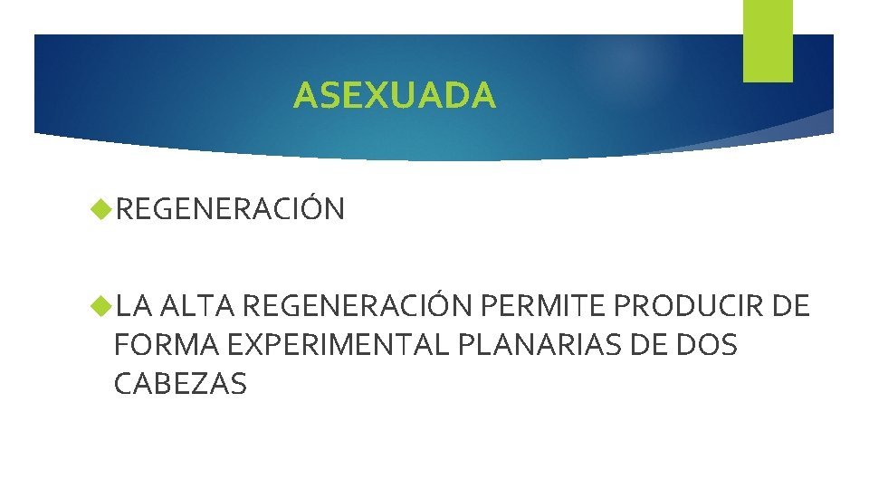 ASEXUADA REGENERACIÓN LA ALTA REGENERACIÓN PERMITE PRODUCIR DE FORMA EXPERIMENTAL PLANARIAS DE DOS CABEZAS