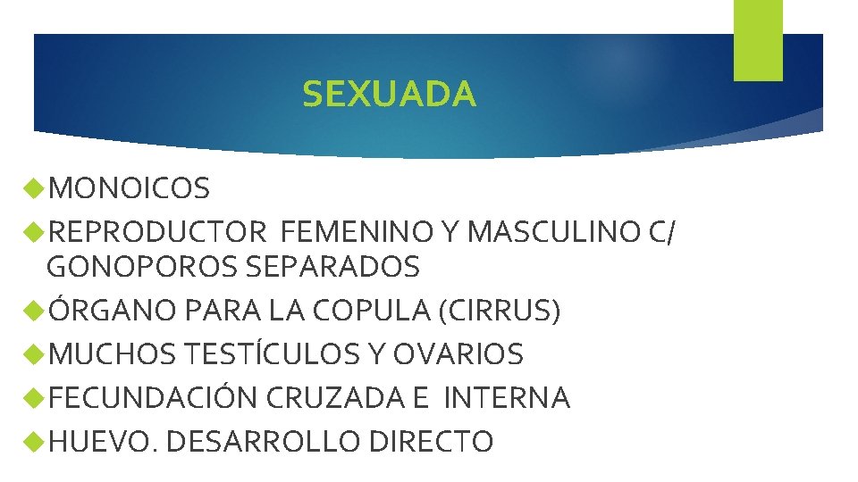 SEXUADA MONOICOS REPRODUCTOR FEMENINO Y MASCULINO C/ GONOPOROS SEPARADOS ÓRGANO PARA LA COPULA (CIRRUS)