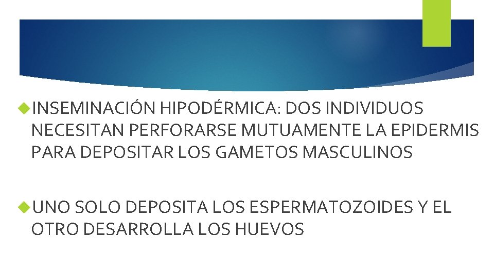  INSEMINACIÓN HIPODÉRMICA: DOS INDIVIDUOS NECESITAN PERFORARSE MUTUAMENTE LA EPIDERMIS PARA DEPOSITAR LOS GAMETOS