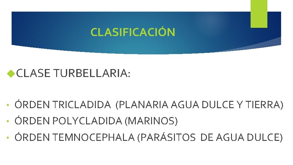 CLASIFICACIÓN CLASE TURBELLARIA: ÓRDEN TRICLADIDA (PLANARIA AGUA DULCE Y TIERRA) • ÓRDEN POLYCLADIDA (MARINOS)