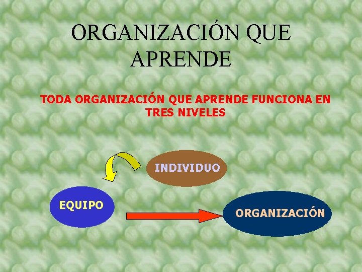ORGANIZACIÓN QUE APRENDE TODA ORGANIZACIÓN QUE APRENDE FUNCIONA EN TRES NIVELES INDIVIDUO EQUIPO ORGANIZACIÓN ORGANIZACIÓN QUE APRENDE TODA ORGANIZACIÓN QUE APRENDE FUNCIONA EN TRES NIVELES INDIVIDUO EQUIPO ORGANIZACIÓN