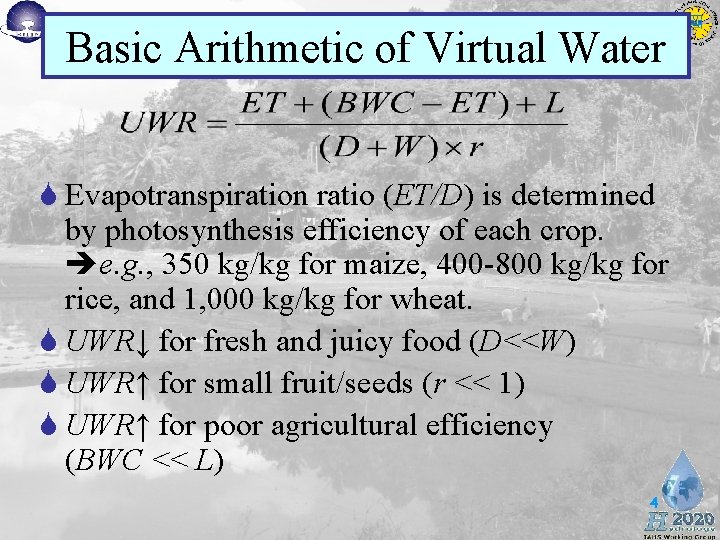 Basic Arithmetic of Virtual Water S Evapotranspiration ratio (ET/D) is determined by photosynthesis efficiency Basic Arithmetic of Virtual Water S Evapotranspiration ratio (ET/D) is determined by photosynthesis efficiency