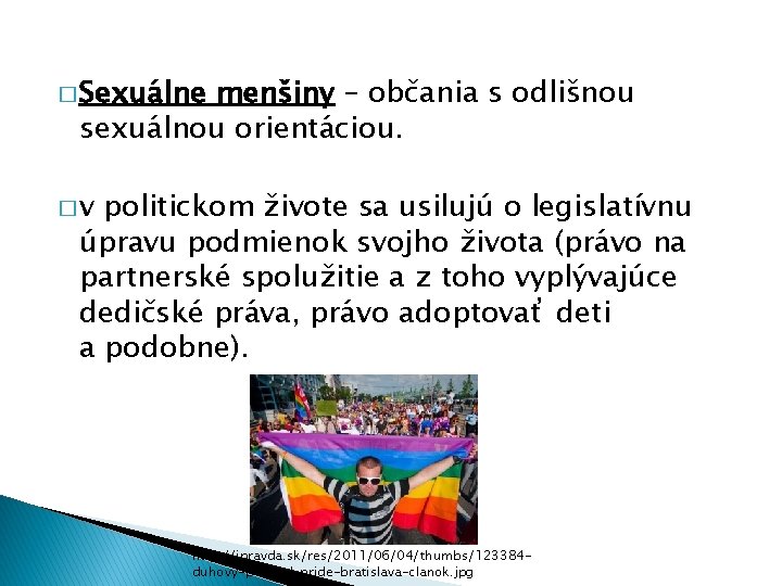 � Sexuálne menšiny – občania s odlišnou sexuálnou orientáciou. � v politickom živote sa