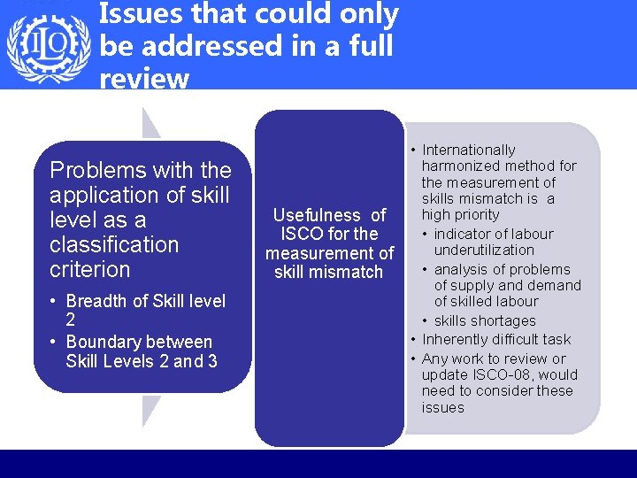 Issues that could only be addressed in a full review Problems with the application