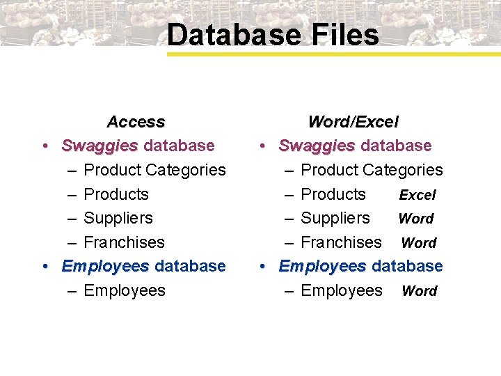 Database Files Access • Swaggies database – Product Categories – Products – Suppliers –