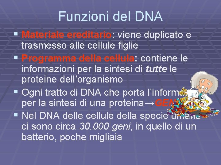 Funzioni del DNA § Materiale ereditario: viene duplicato e trasmesso alle cellule figlie §