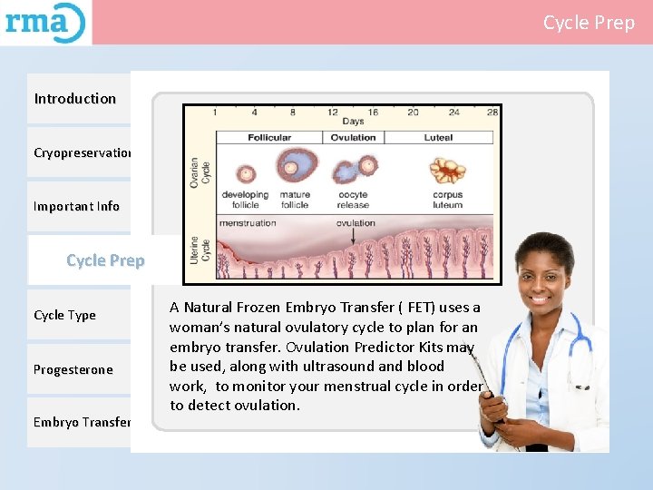 Cycle Prep Introduction Cryopreservation Important Info Cycle Prep Cycle Type Progesterone Embryo Transfer A
