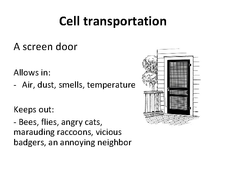 Cell transportation A screen door Allows in: - Air, dust, smells, temperature Keeps out: