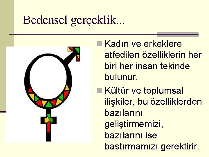 Bedensel gerçeklik. . . n Kadın ve erkeklere atfedilen özelliklerin her biri her insan