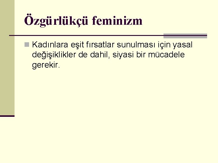 Özgürlükçü feminizm n Kadınlara eşit fırsatlar sunulması için yasal değişiklikler de dahil, siyasi bir