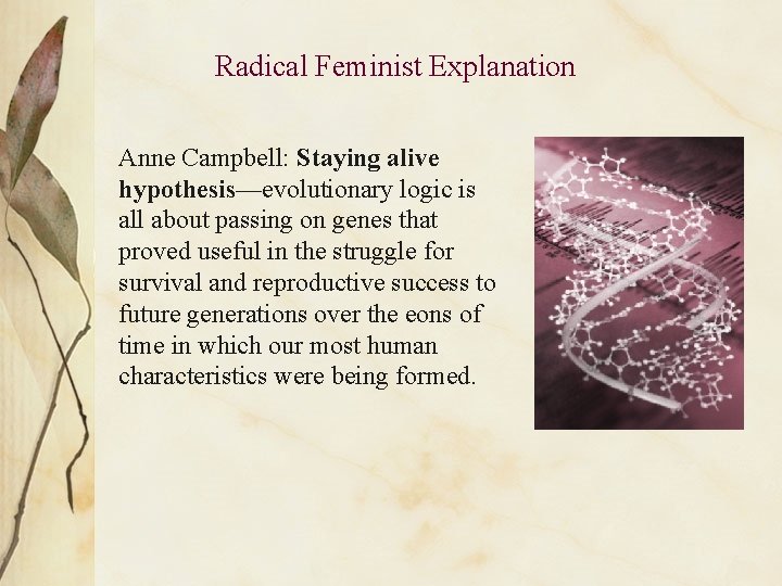 Radical Feminist Explanation Anne Campbell: Staying alive hypothesis—evolutionary logic is all about passing on