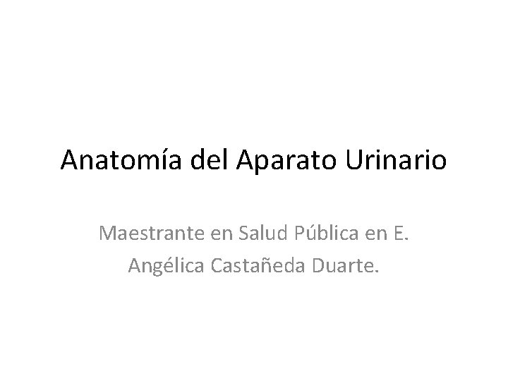 Anatomía del Aparato Urinario Maestrante en Salud Pública en E. Angélica Castañeda Duarte. 