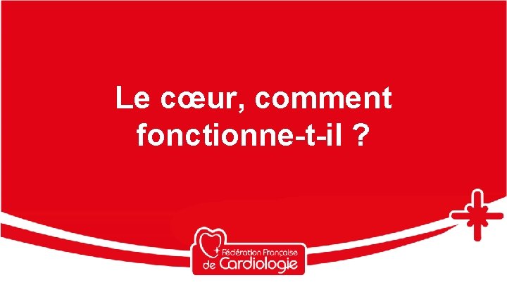Le cœur, comment fonctionne-t-il ? 