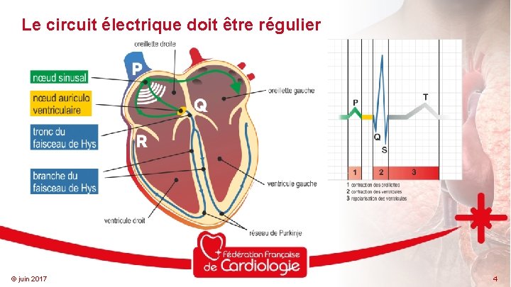 Le circuit électrique doit être régulier © juin 2017 4 