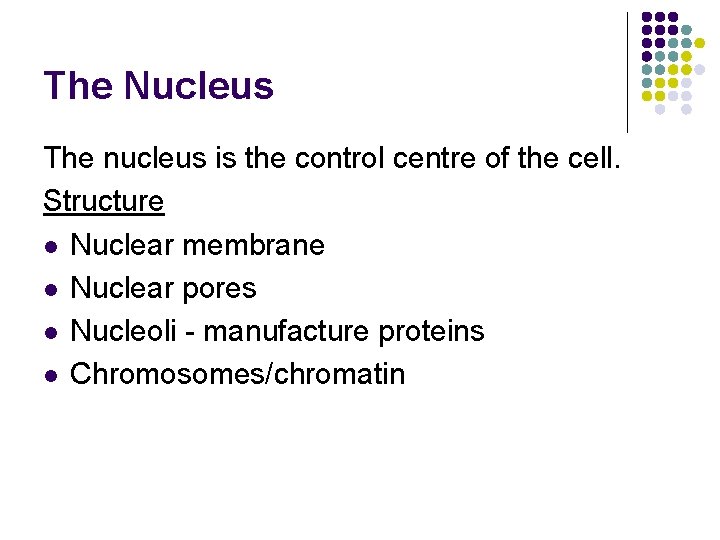 The Nucleus The nucleus is the control centre of the cell. Structure l Nuclear