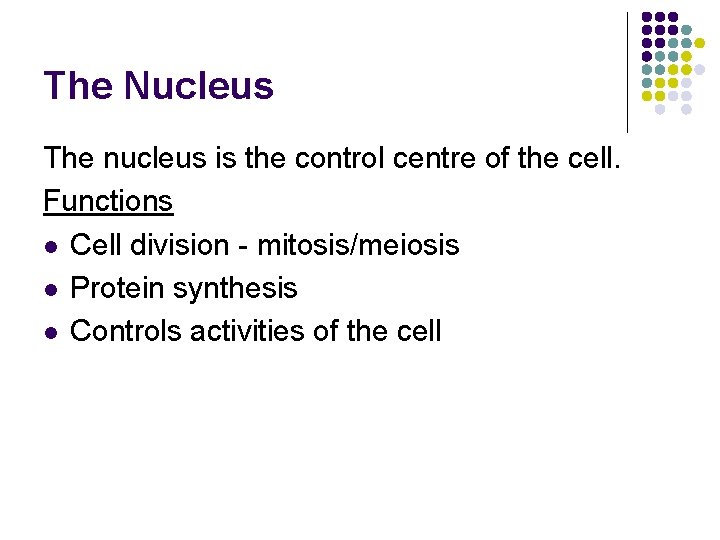 The Nucleus The nucleus is the control centre of the cell. Functions l Cell