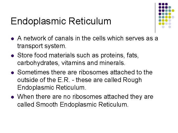 Endoplasmic Reticulum l l A network of canals in the cells which serves as