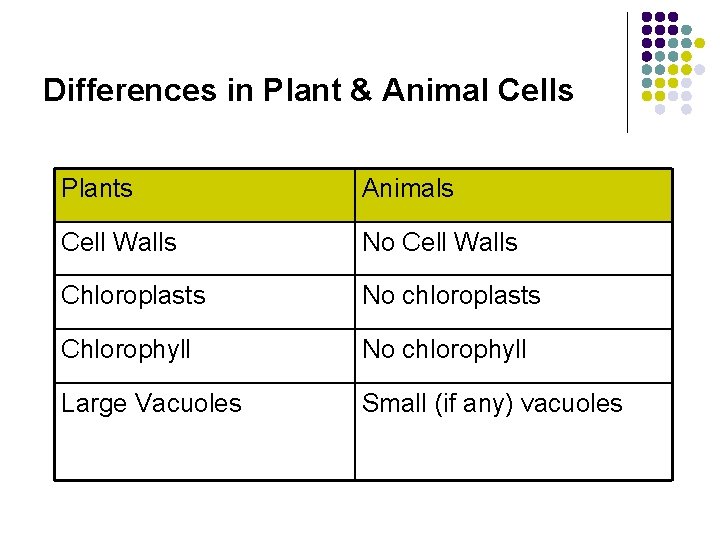 Differences in Plant & Animal Cells Plants Animals Cell Walls No Cell Walls Chloroplasts