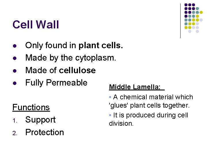 Cell Wall l l Only found in plant cells. Made by the cytoplasm. Made