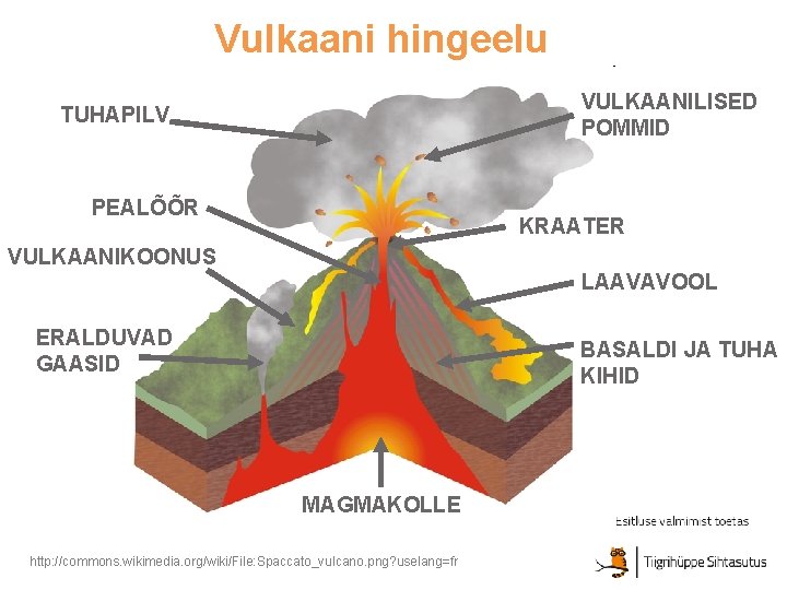 Vulkaani hingeelu VULKAANILISED POMMID TUHAPILV PEALÕÕR KRAATER VULKAANIKOONUS LAAVAVOOL ERALDUVAD GAASID BASALDI JA TUHA Vulkaani hingeelu VULKAANILISED POMMID TUHAPILV PEALÕÕR KRAATER VULKAANIKOONUS LAAVAVOOL ERALDUVAD GAASID BASALDI JA TUHA