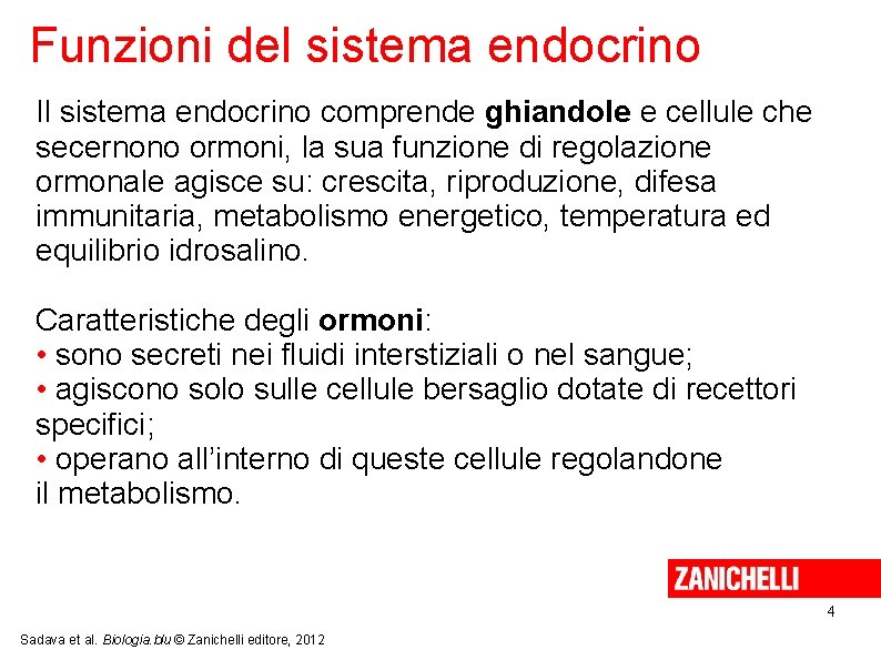 Funzioni del sistema endocrino Il sistema endocrino comprende ghiandole e cellule che secernono ormoni,