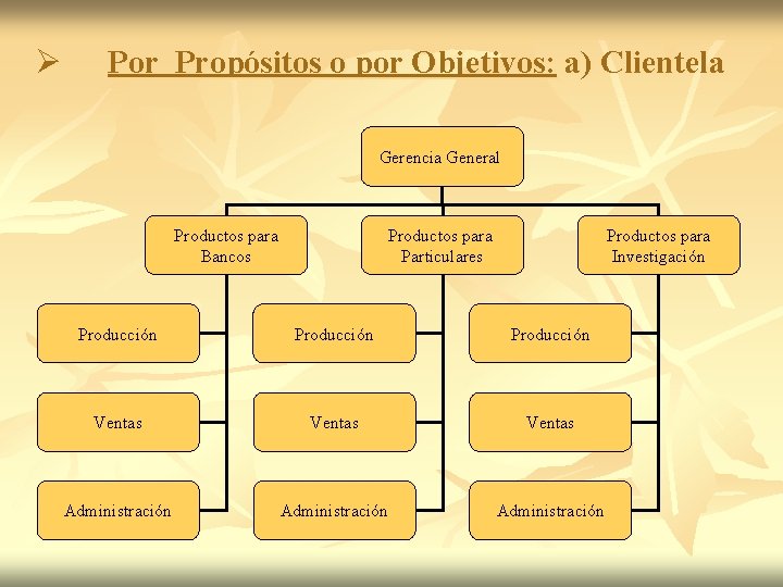 Ø Por Propósitos o por Objetivos: a) Clientela Gerencia General Productos para Bancos Productos Ø Por Propósitos o por Objetivos: a) Clientela Gerencia General Productos para Bancos Productos