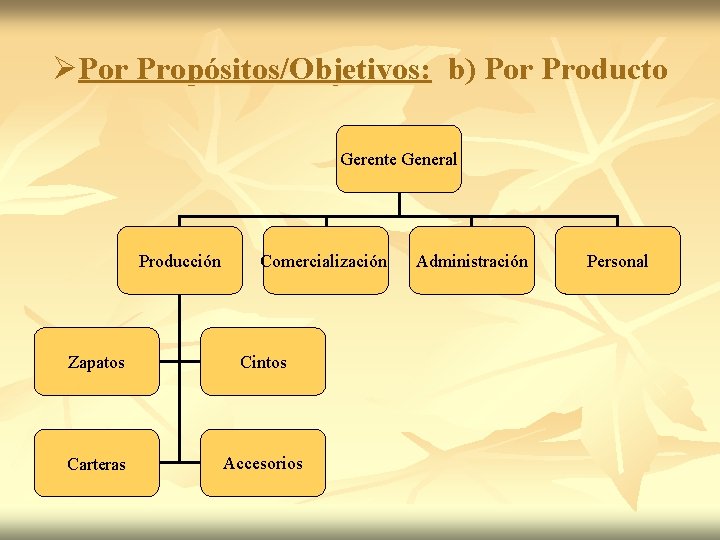 ØPor Propósitos/Objetivos: b) Por Producto Gerente General Producción Comercialización Zapatos Cintos Carteras Accesorios Administración ØPor Propósitos/Objetivos: b) Por Producto Gerente General Producción Comercialización Zapatos Cintos Carteras Accesorios Administración