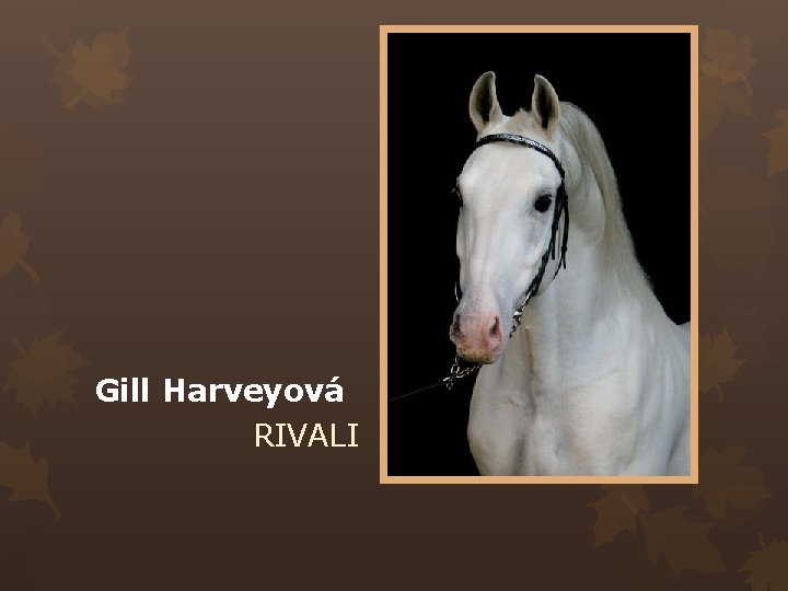 Gill Harveyová RIVALI 