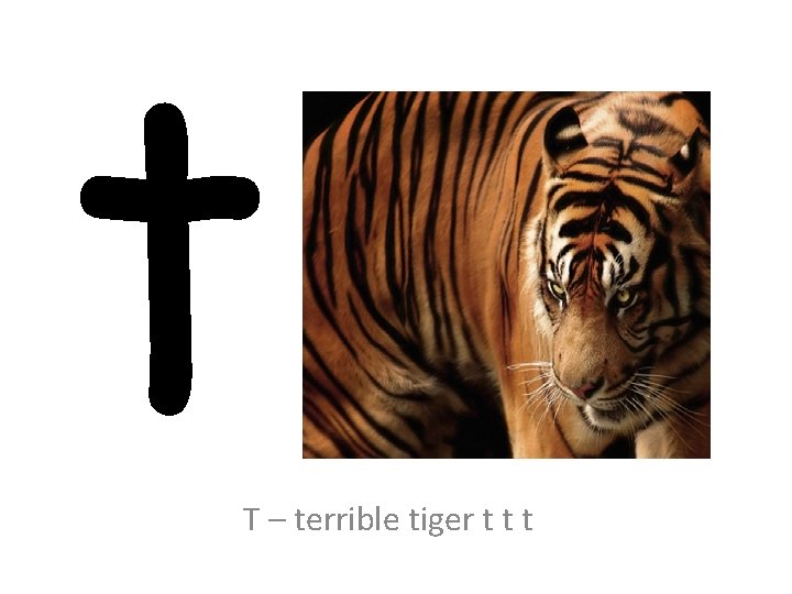 t T – terrible tiger t t t 