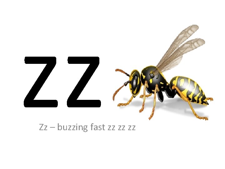 zz Zz – buzzing fast zz zz zz 