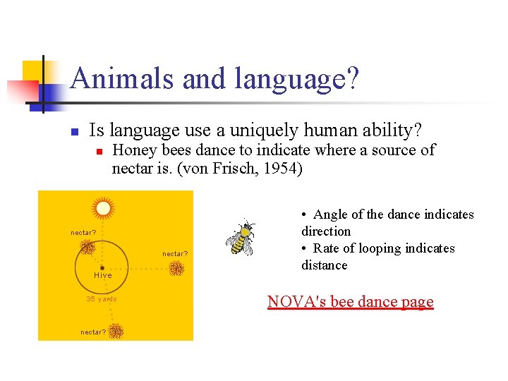 Animals and language? n Is language use a uniquely human ability? n Honey bees