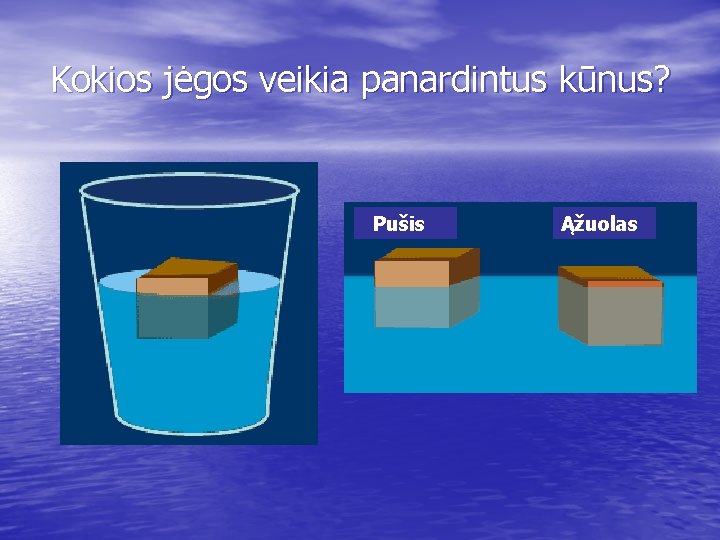 Kokios jėgos veikia panardintus kūnus? Pušis Ąžuolas 