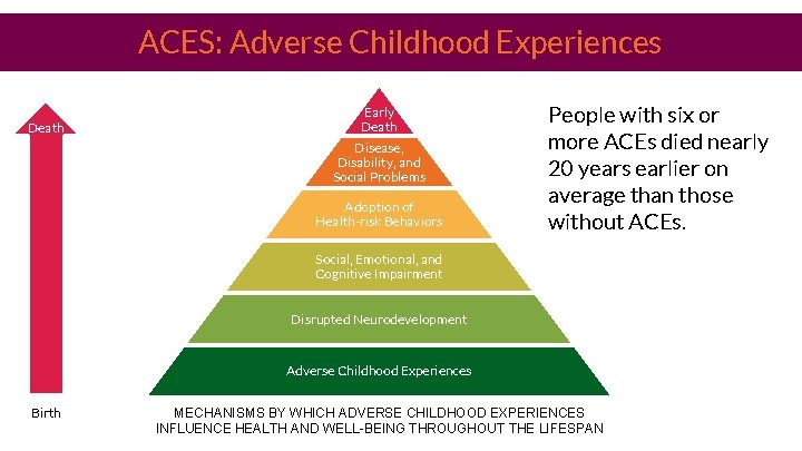 ACES: Adverse Childhood Experiences Death Early Death Disease, Disability, and Social Problems Adoption of