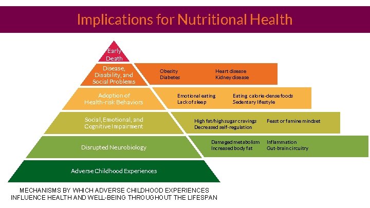 Implications for Nutritional Health Early Death Disease, Disability, and Social Problems Adoption of Health-risk
