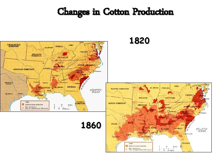 Changes in Cotton Production 1820 1860 