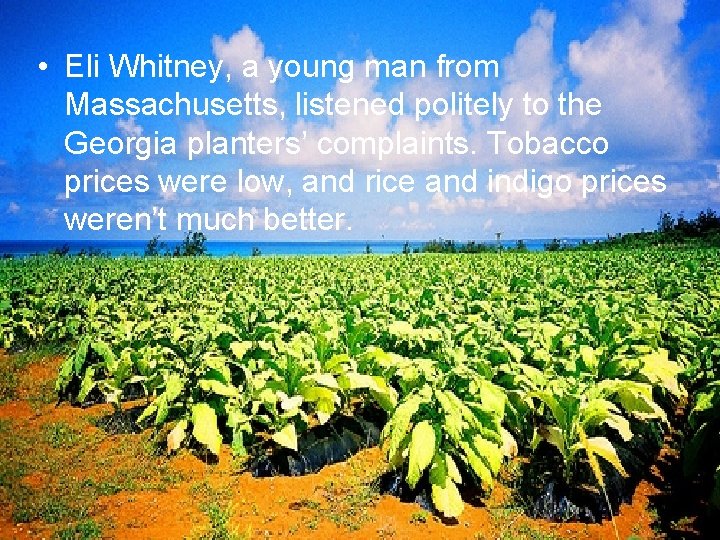  • Eli Whitney, a young man from Massachusetts, listened politely to the Georgia