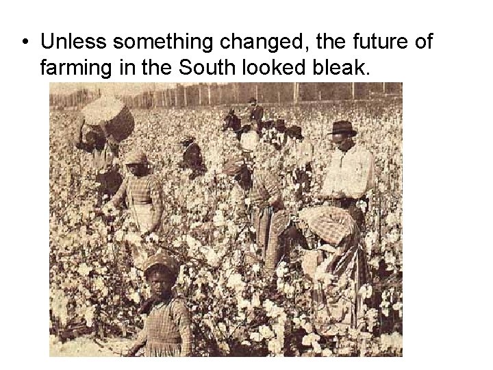  • Unless something changed, the future of farming in the South looked bleak.