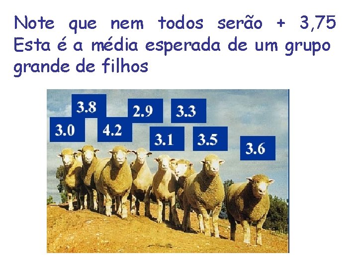 Note que nem todos serão + 3, 75 Esta é a média esperada de