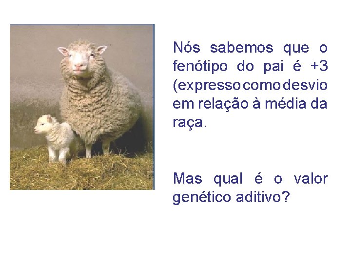 Nós sabemos que o fenótipo do pai é +3 (expresso como desvio em relação