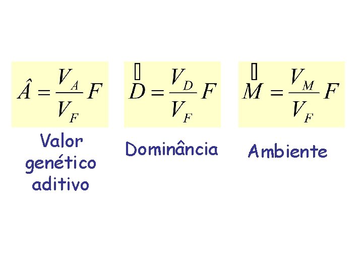 Valor genético aditivo Dominância Ambiente 