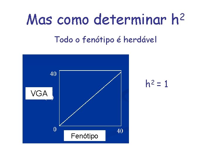 Mas como determinar h 2 Todo o fenótipo é herdável h 2 = 1