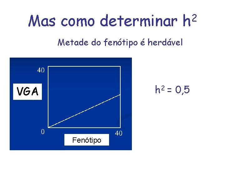 Mas como determinar h 2 Metade do fenótipo é herdável h 2 = 0,