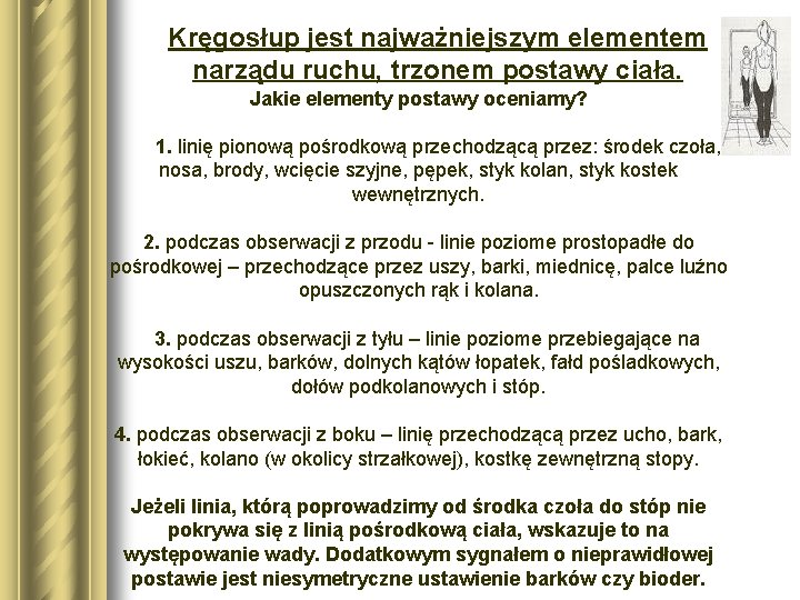 Kręgosłup jest najważniejszym elementem narządu ruchu, trzonem postawy ciała. Jakie elementy postawy oceniamy? 1.