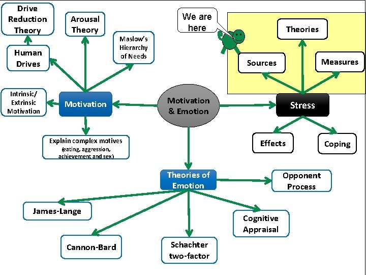 Drive Reduction Theory Arousal Theory Human Drives Intrinsic/ Extrinsic Motivation We are here Maslow’s